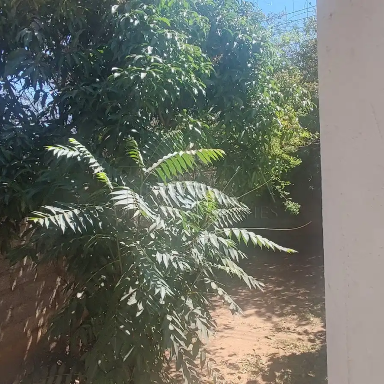 Woodlands Property to Rent – 3 Bedrooms