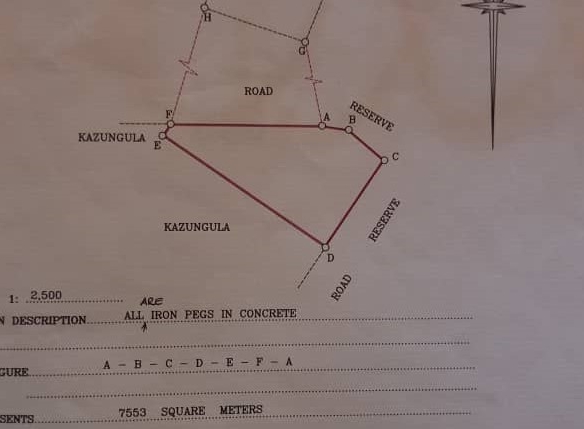 Prime Kazungula Land for Commercial Development
