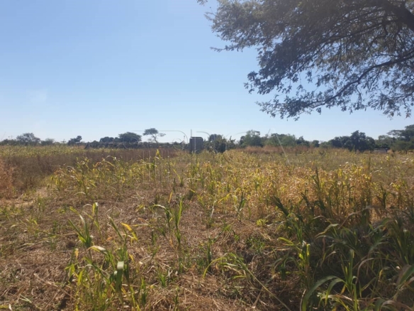 Farm for Sale Off Mumbwa Road in Mwembeshi