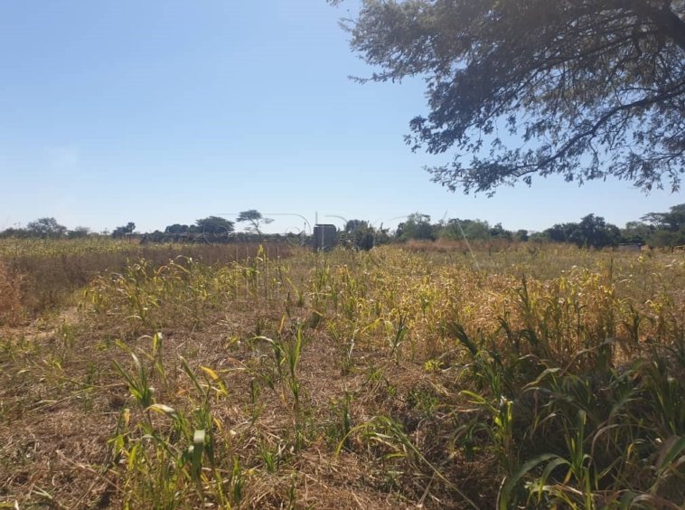 Farm for Sale Off Mumbwa Road in Mwembeshi