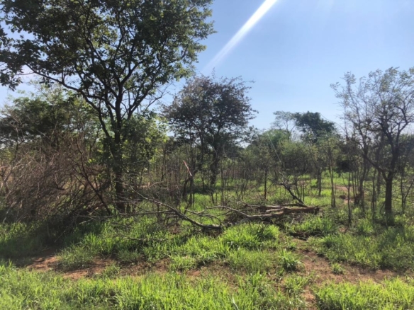 1 Acre Residential Plots for Sale