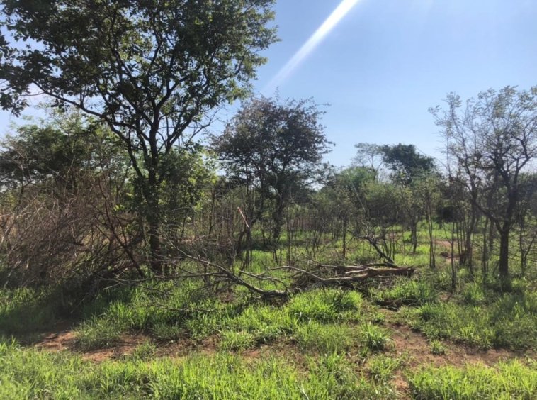 1 Acre Residential Plots for Sale
