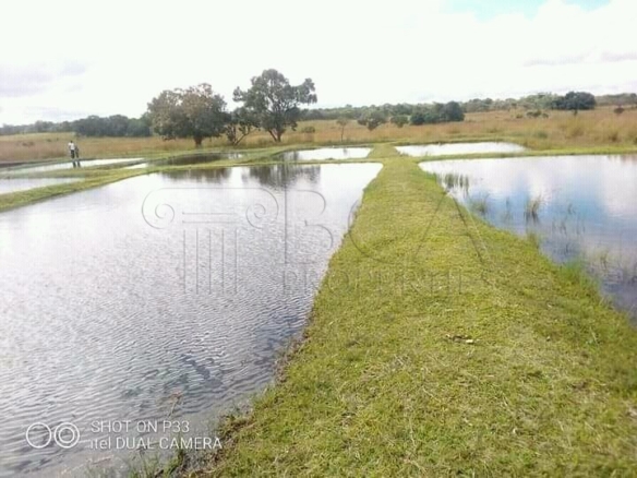 90-hectare Farmland for Sale in Mkushi