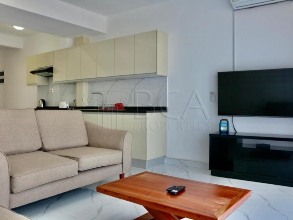 Fully Furnished Two-Bedroom Apartment in Kingsland City