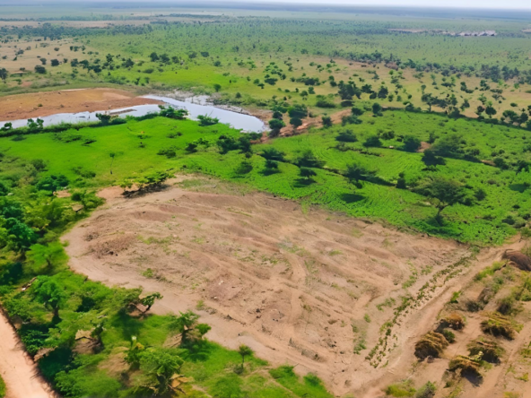 5 Essential Tips for Buying Land in Zambia