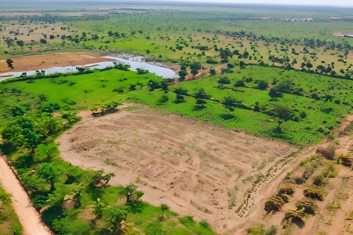 5 Essential Tips for Buying Land in Zambia