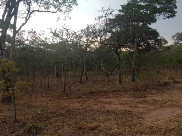 Leopards Hill Land for Sale - 5 Acres Near Kwisoko