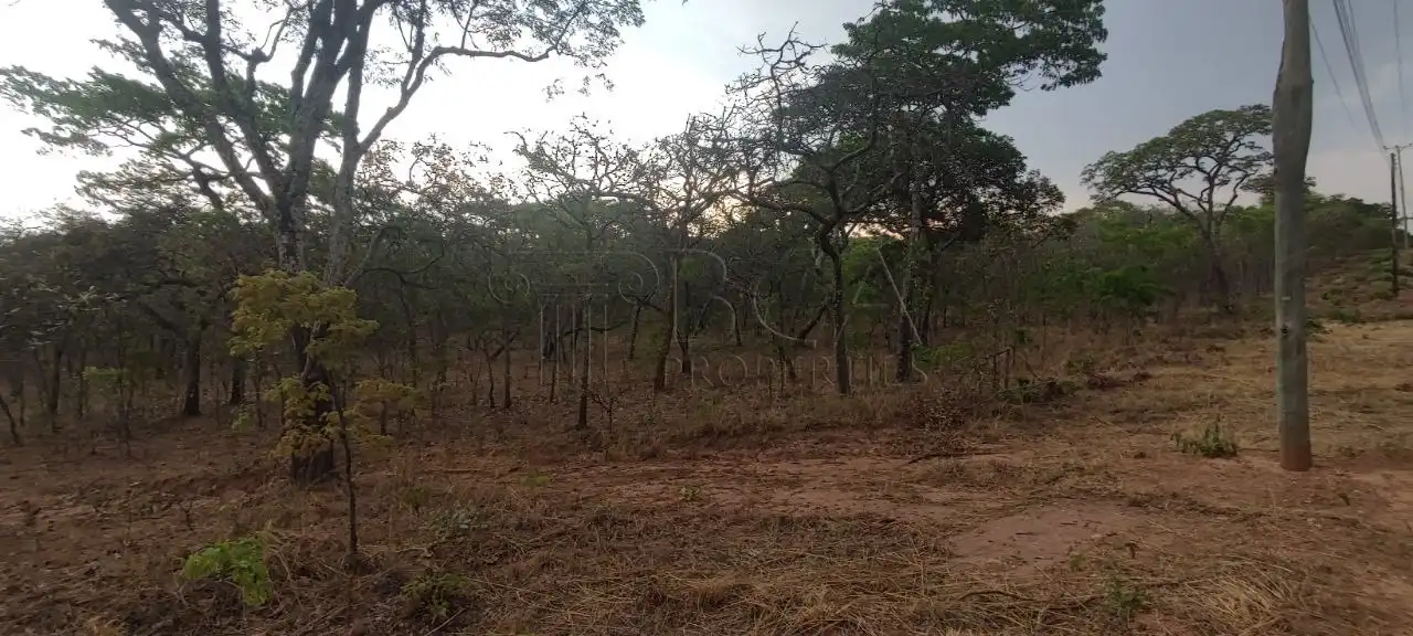 Leopards Hill Land for Sale - 5 Acres Near Kwisoko