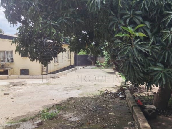 Unique Property for Sale in Avondale