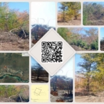 15 Hectare Land for Sale in Kazungula