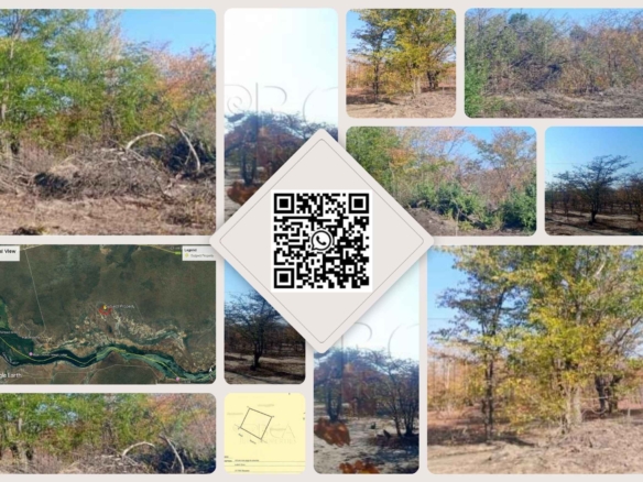 15 Hectare Land for Sale in Kazungula
