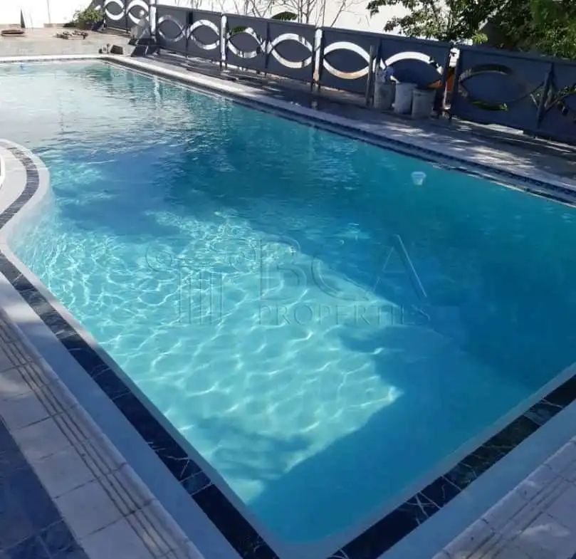 BCA-18758_page21_image26