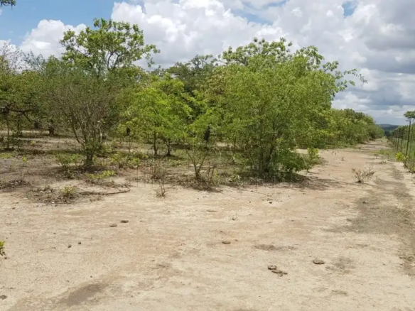 Prime Virgin Land for Sale in Shimabala
