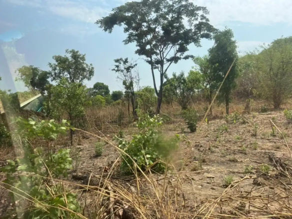 Farmland for Sale in Luanshya