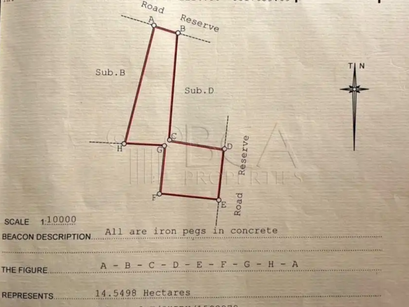Situmbeko Agricultural Land – 35.9 Acres