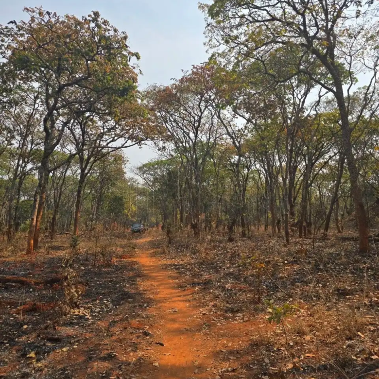 Kalumbila Farmland – 600 Hectares