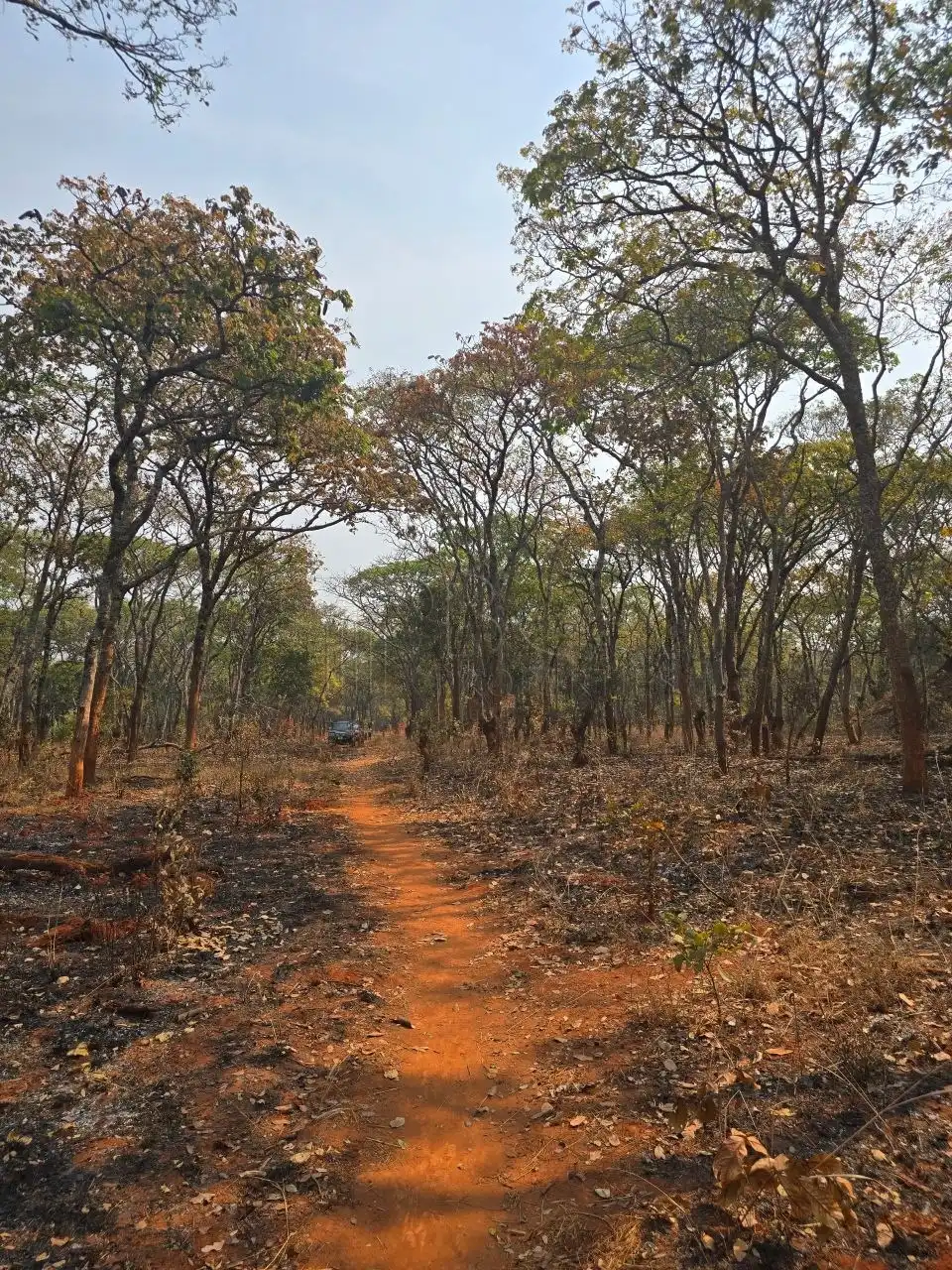 Kalumbila Farmland – 600 Hectares