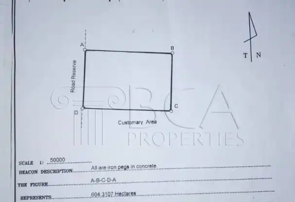 Kalumbila Farmland – 600 Hectares