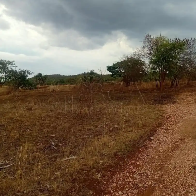 Mungu Farming Area Land – 5 Acres