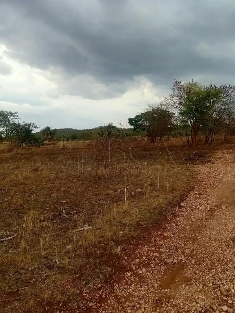 Mungu Farming Area Land – 5 Acres