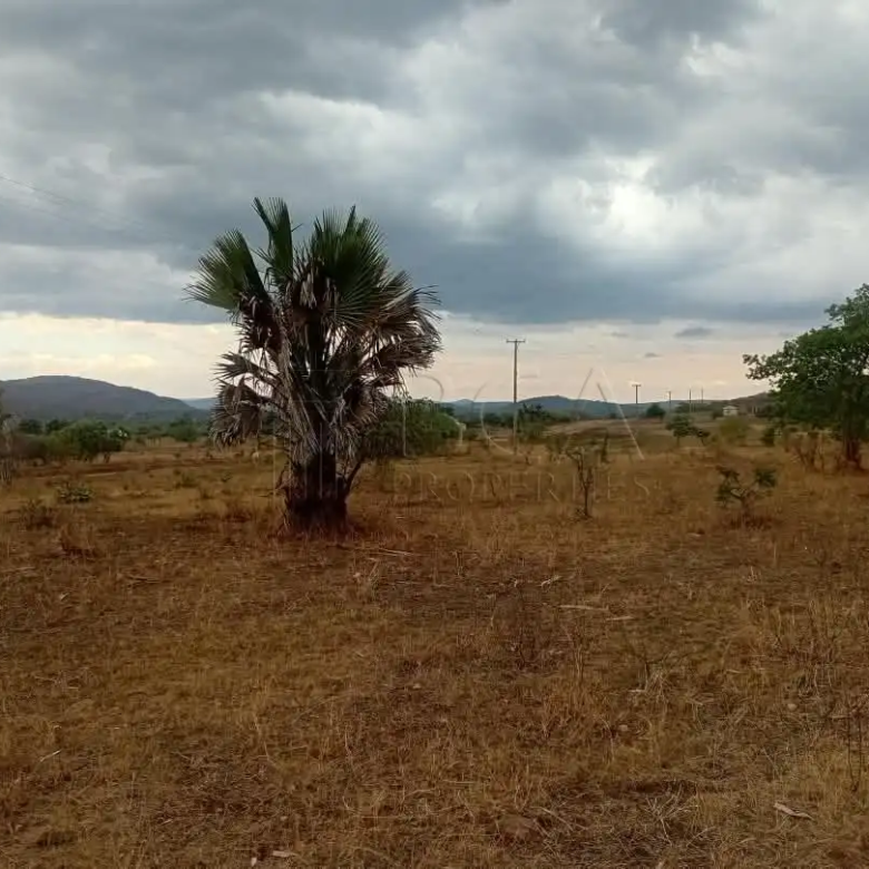 Mungu Farming Area Land – 5 Acres