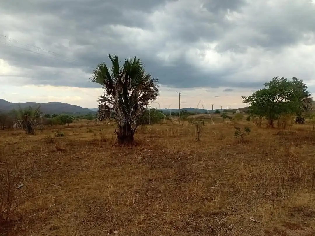 Mungu Farming Area Land – 5 Acres