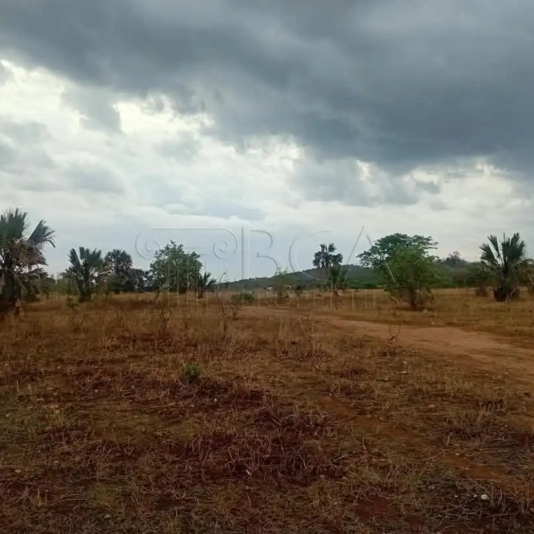 Mungu Farming Area Land – 5 Acres