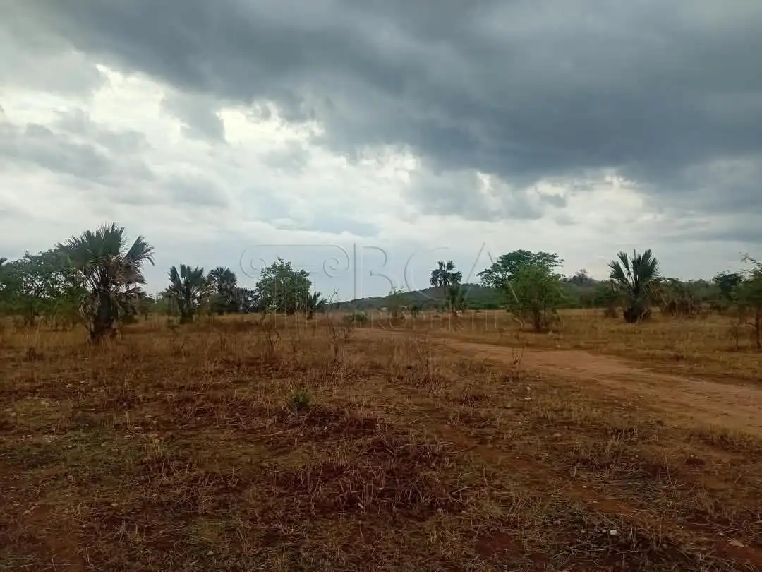 Mungu Farming Area Land – 5 Acres