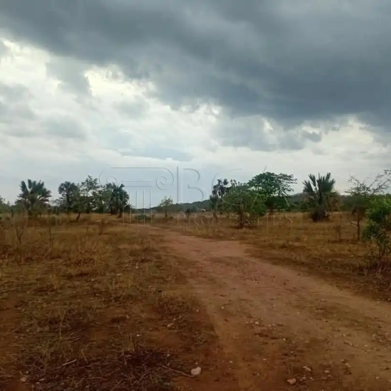 Mungu Farming Area Land – 5 Acres