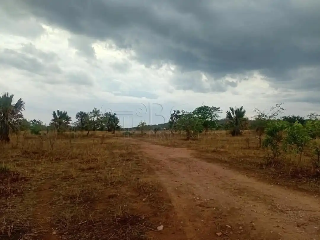 Mungu Farming Area Land – 5 Acres