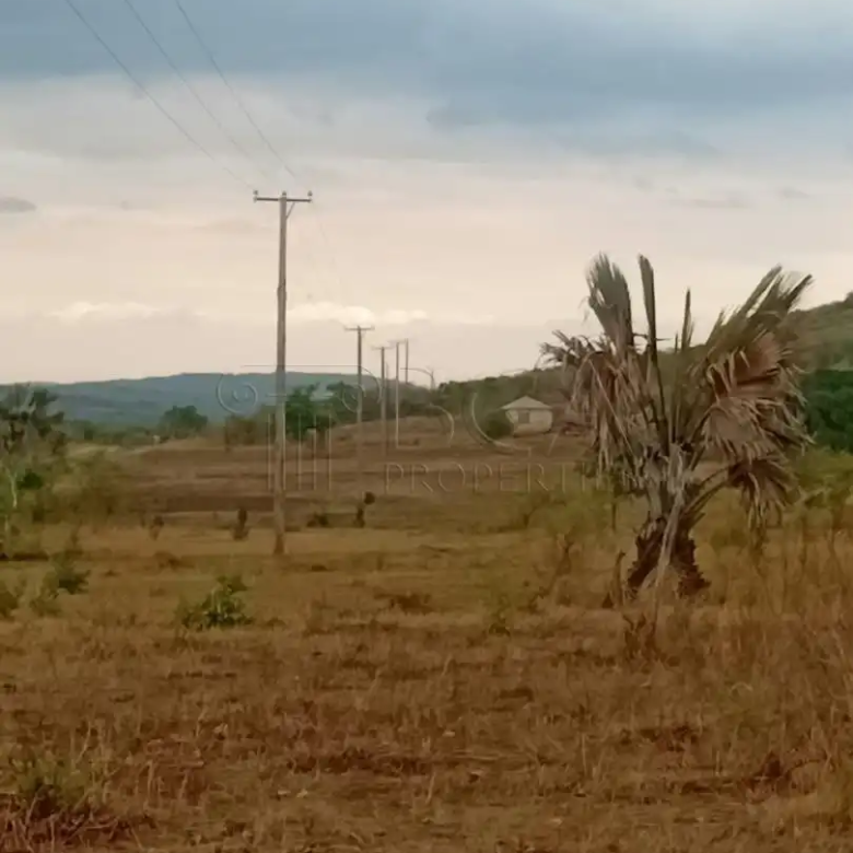 Mungu Farming Area Land – 5 Acres