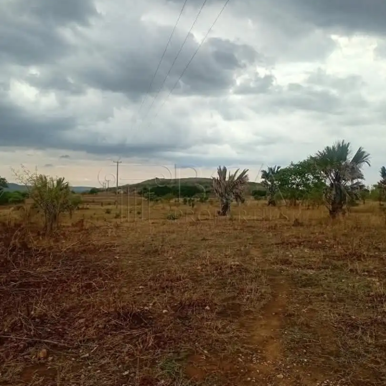 Mungu Farming Area Land – 5 Acres