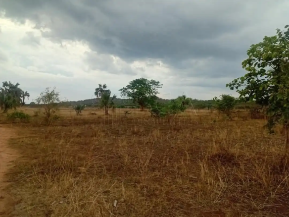 Mungu Farming Area Land – 5 Acres