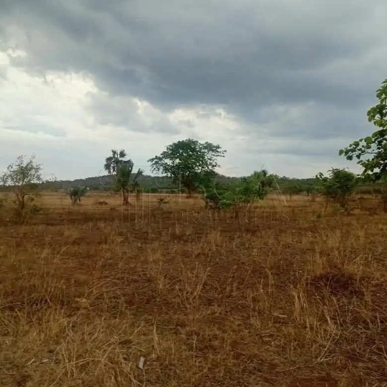 Mungu Farming Area Land – 5 Acres