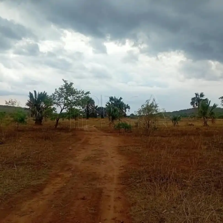 Mungu Farming Area Land – 5 Acres