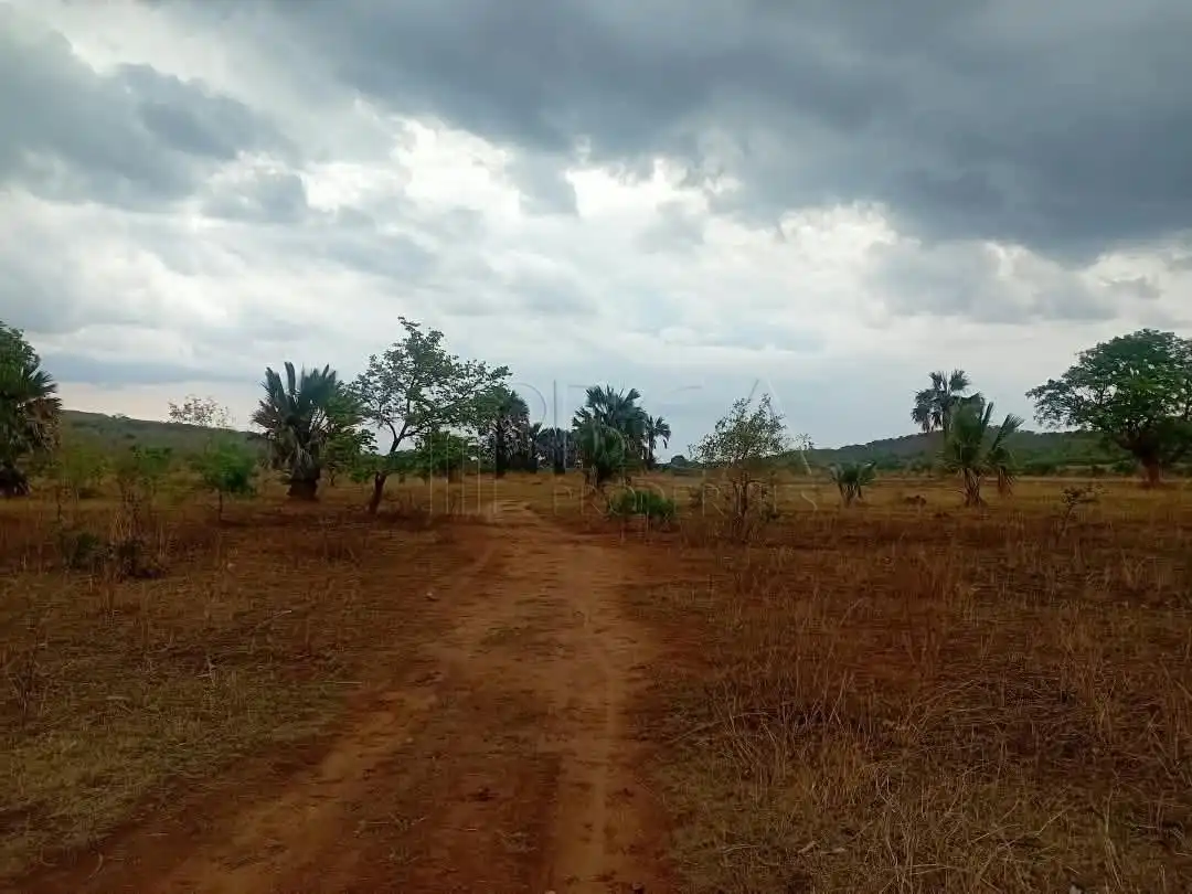 Mungu Farming Area Land – 5 Acres