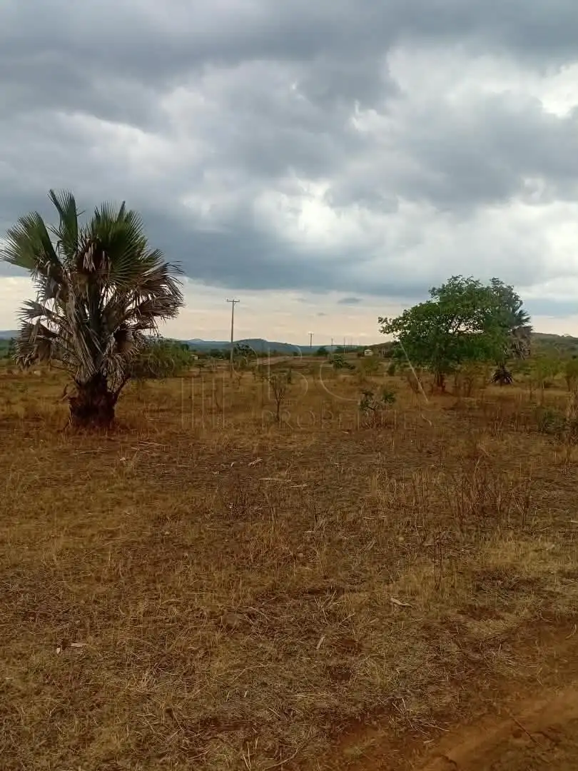 Mungu Farming Area Land – 5 Acres