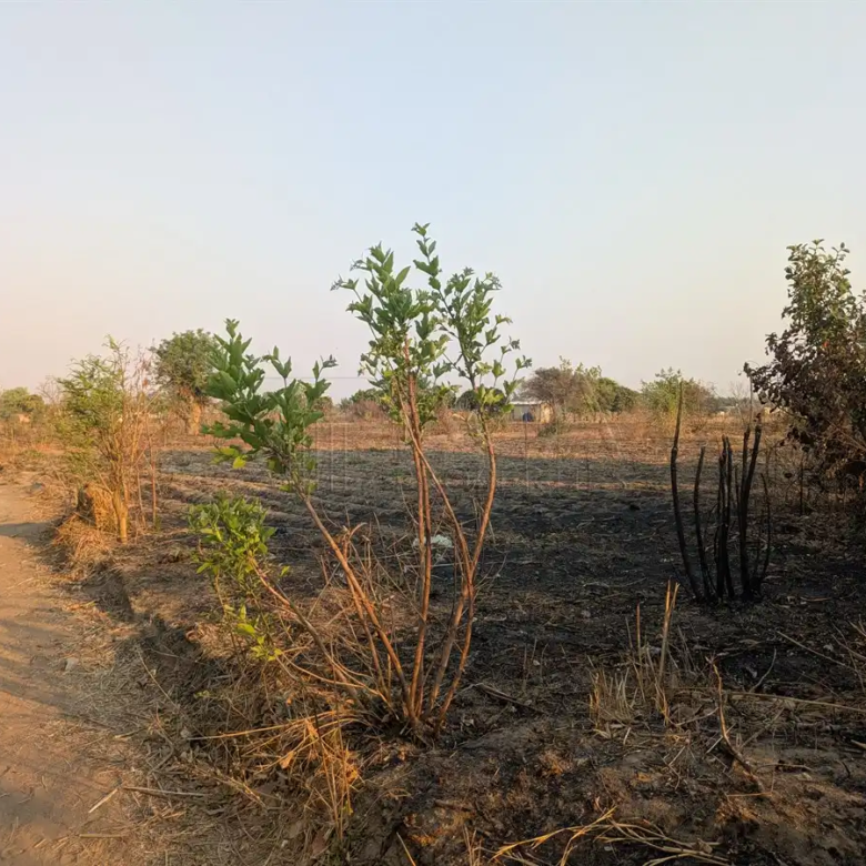 Katuba Vacant Land – 1.4082 Hectares