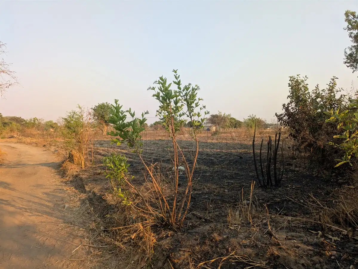 Katuba Vacant Land – 1.4082 Hectares