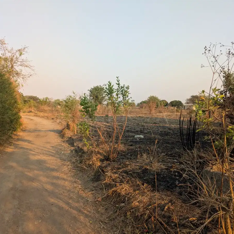 Katuba Vacant Land – 1.4082 Hectares
