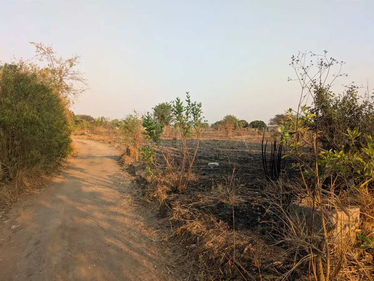 Katuba Vacant Land – 1.4082 Hectares
