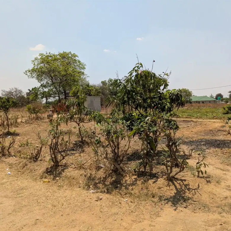 Katuba Vacant Land – 1.4082 Hectares