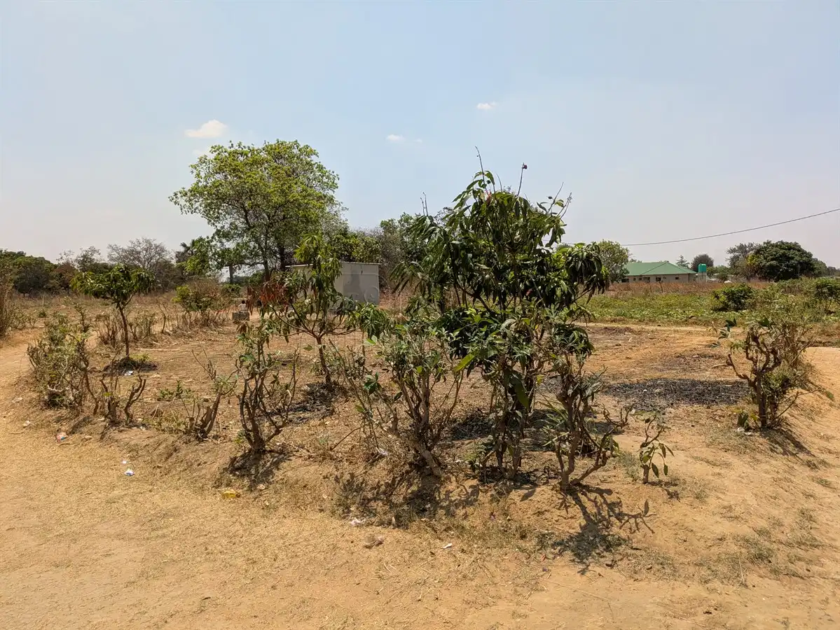 Katuba Vacant Land – 1.4082 Hectares